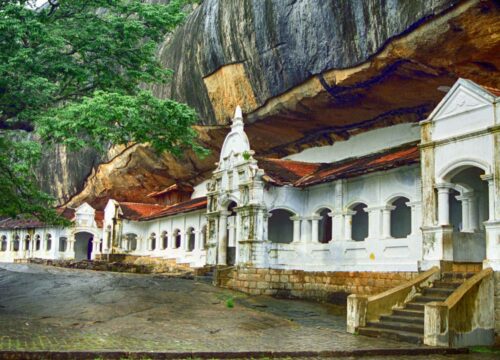 11 Days Glimpse of Sri Lanka